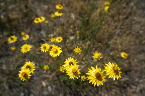 Highfield Farm And Woodland Bush Campsites - Airlie Beach Holiday 3