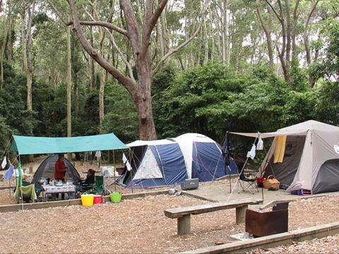 Pebbly Beach Campground - Yuraygir National Park - Airlie Beach Holiday 0