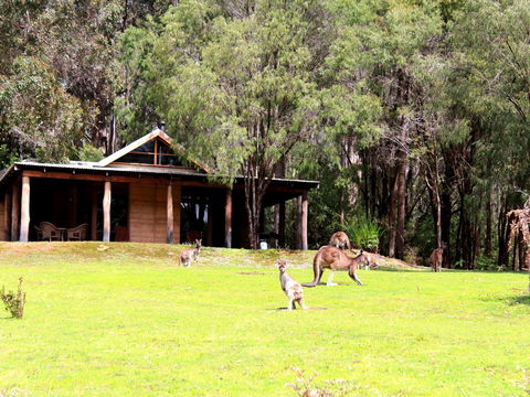 Marima Cottages - Airlie Beach Holiday 1