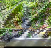 O'Reilly's Rainforest Retreat - Airlie Beach Holiday