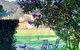Arcadia Cottages At Cambewarra - thumb 5