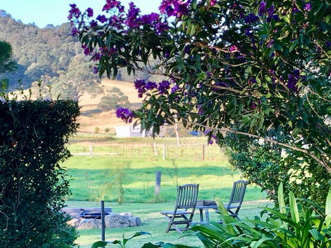 Arcadia Cottages At Cambewarra - Airlie Beach Holiday 5