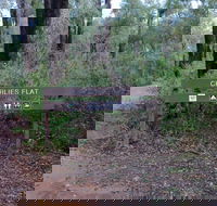 Charlies Flat Campground at Lane Poole Reserve