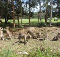 Golf View Motel - Airlie Beach Holiday