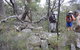 Rabbiters Hut - thumb 1