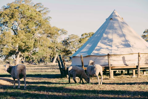 Bellwether Wines - Airlie Beach Holiday 2