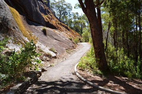 Centre Road Crossing Camp At Mount Frankland South National Park - Airlie Beach Holiday 0