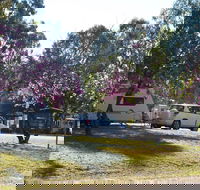Eidsvold Caravan Park - Airlie Beach Holiday
