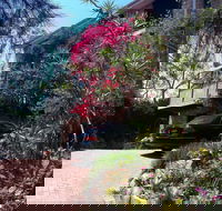 Linley House Bed and Breakfast - Airlie Beach Holiday