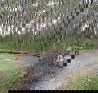 Meroo Head campground