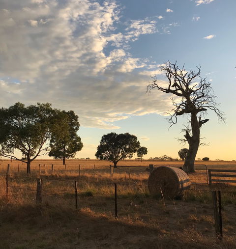 Rocklea Farm - Airlie Beach Holiday 0