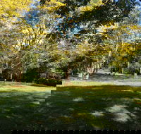 Scenic Rim Adventure Park - Airlie Beach Holiday