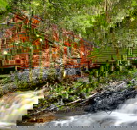 The Mouses House - Rainforest Retreat - Airlie Beach Holiday