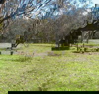 Tin Mines campground - Airlie Beach Holiday