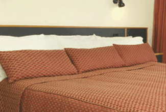 Margarets Forest Holiday Apartments - Airlie Beach Holiday