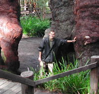 Walpole Lodge - Airlie Beach Holiday