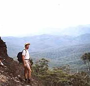 Mimosa Hill Wildflower Farm Cottages