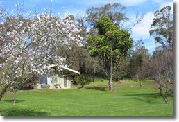 Country Cottages - Airlie Beach Holiday 0