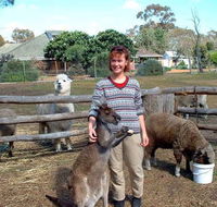 Kemminup Farm - Airlie Beach Holiday