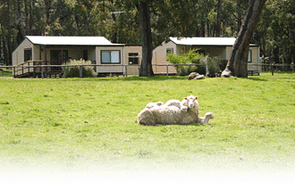 Cambray Cottages - Airlie Beach Holiday 1