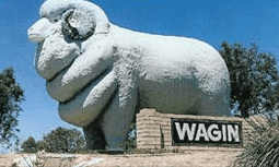 Wagin Motel - Airlie Beach Holiday