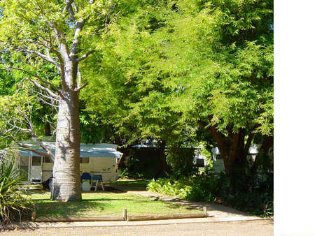 Town Caravan Park - Airlie Beach Holiday 0