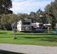 Pinjarra Caravan Park - Airlie Beach Holiday