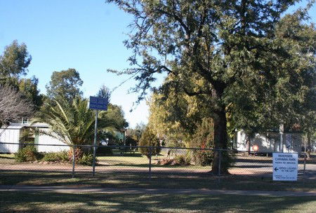 Gineroi NSW Airlie Beach Holiday