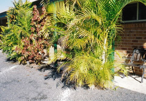 Bulahdelah Myall Motel - Airlie Beach Holiday 4