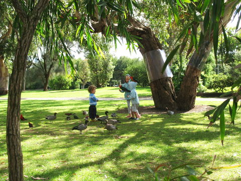 Kennett River Holiday Park - Airlie Beach Holiday 1
