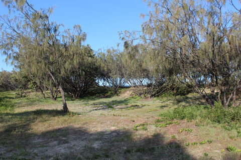 K'gari (Fraser Island) Camping, Great Sandy National Park - Airlie Beach Holiday 1