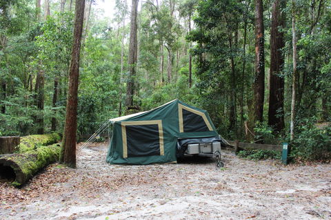 K'gari (Fraser Island) Camping, Great Sandy National Park - Airlie Beach Holiday 2