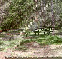 Mulloon Creek campground - Airlie Beach Holiday