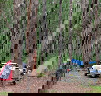 Wallingat River campground - Airlie Beach Holiday