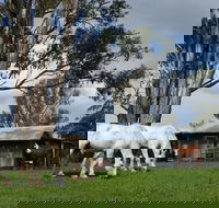 Woodenbong B and B - Airlie Beach Holiday
