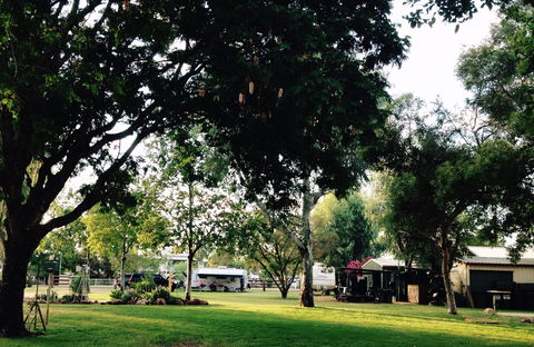 Bailey Bar Caravan Park - Airlie Beach Holiday 0