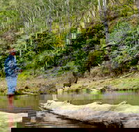 Bass Lodge - Airlie Beach Holiday