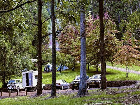 Dingo Tops Campground - Airlie Beach Holiday 2