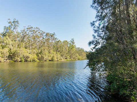 Ferny Creek Campground - Airlie Beach Holiday 1