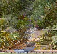 Highland Caravan Park - Airlie Beach Holiday