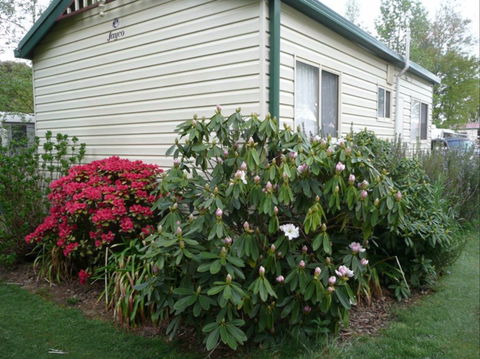Jenolan Caravan Park - Airlie Beach Holiday 0