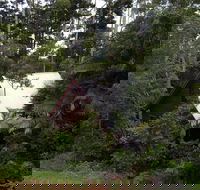 Turkeys Nest Rainforest Cottages Mt Glorious - Airlie Beach Holiday