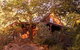 Artscape Cottage Beechworth - thumb 0