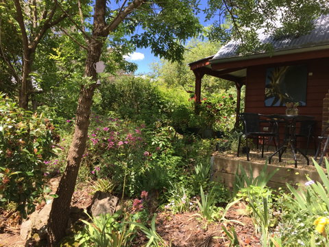 Artscape Cottage Beechworth - Airlie Beach Holiday 2