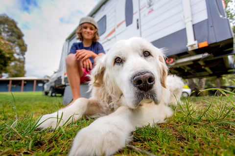 BIG4 St Helens Holiday Park - Airlie Beach Holiday 2