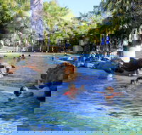 Big4 Aussie Outback Oasis Holiday Park - Airlie Beach Holiday