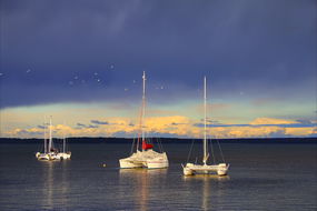 Book Callala Bay Accommodation Vacations Airlie Beach Holiday Airlie Beach Holiday