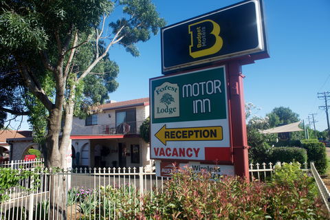Forest Lodge Motor Inn And Restaurant - Airlie Beach Holiday 0