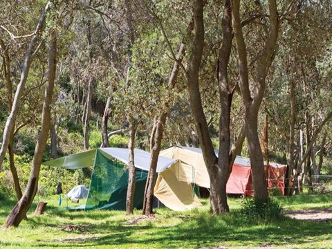 Pebbly Beach Campground - Yuraygir National Park - Airlie Beach Holiday 1