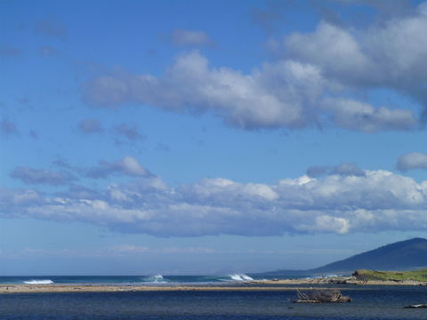 Scamander On The Beach - Airlie Beach Holiday 1